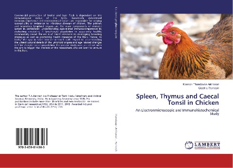 Spleen, Thymus and Caecal Tonsil in Chicken: An Electronmicroscopic and Immunohistochemical Study