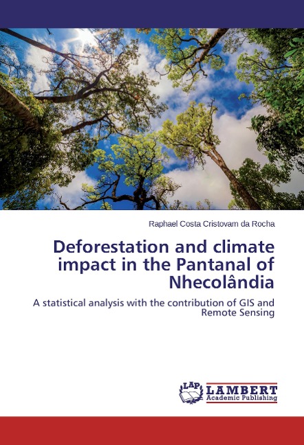 Deforestation and climate impact in the Pantanal of Nhecolândia: A statistical analysis with the contribution of GIS and Remote Sensing