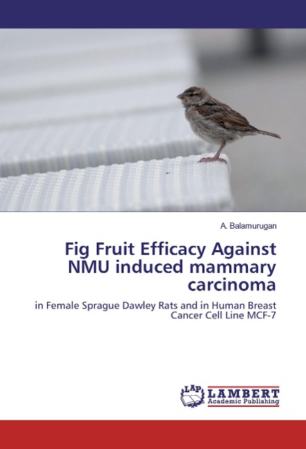 Fig Fruit Efficacy Against NMU induced mammary carcinoma: in Female Sprague Dawley Rats and in Human Breast Cancer Cell Line MCF-7