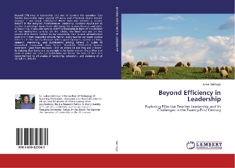Beyond Efficiency in Leadership: Exploring Effective Teacher Leadership and Its Challenges in the Twenty-First Century