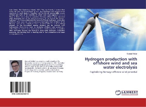 Hydrogen production with offshore wind and sea water electrolysis: Capitalizing Norways offshore wind potential