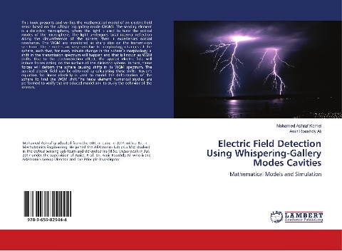 Electric Field Detection Using Whispering-Gallery Modes Cavities: Mathematical Models and Simulation