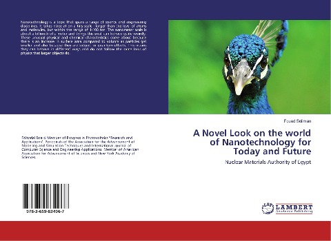 A Novel Look on the world of Nanotechnology for Today and Future: Nuclear Materials Authority of Egypt