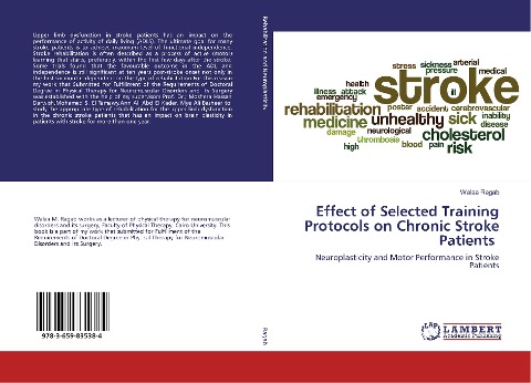 Effect of Selected Training Protocols on Chronic Stroke Patients: Neuroplasticity and Motor Performance in Stroke Patients