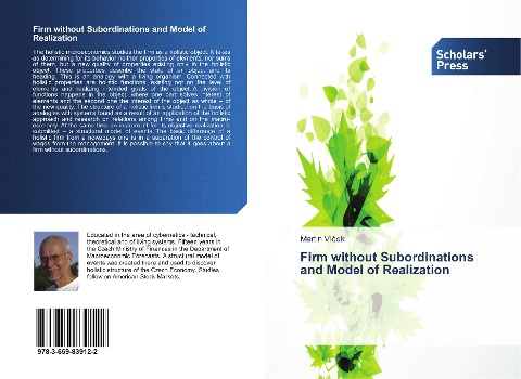 Firm without Subordinations and Model of Realization
