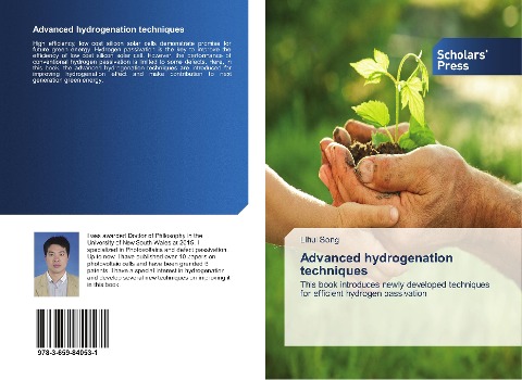Advanced hydrogenation techniques: This book introduces newly developed techniques for efficient hydrogen passivation