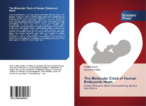 The Molecular Clock of Human Embryonic Heart: Human Embryonic Heart Development by the four main Genes