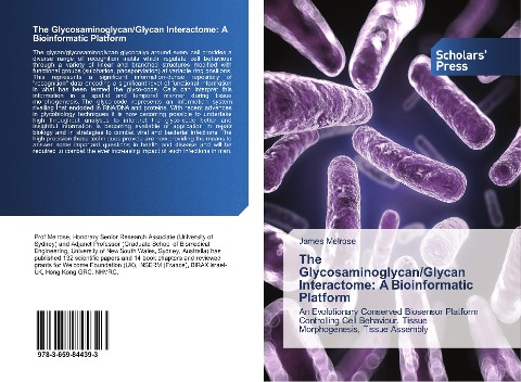 The Glycosaminoglycan/Glycan Interactome: A Bioinformatic Platform: An Evolutionary Conserved Biosensor Platform Controlling Cell Behaviour, Tissue Morphogenesis, Tissue Assembly