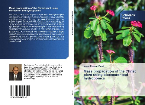 Mass propagation of the Christ plant using bioreactor and hydroponics