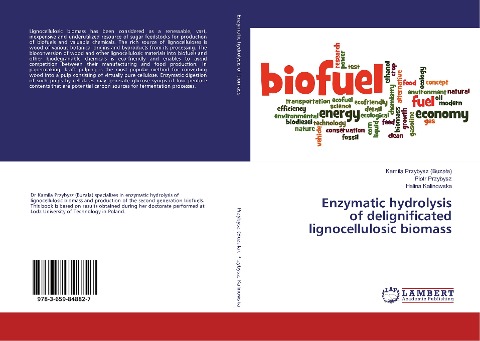 Enzymatic hydrolysis of delignificated lignocellulosic biomass