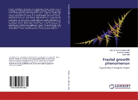 Fractal growth phenomenon: A geometry of irregular shapes