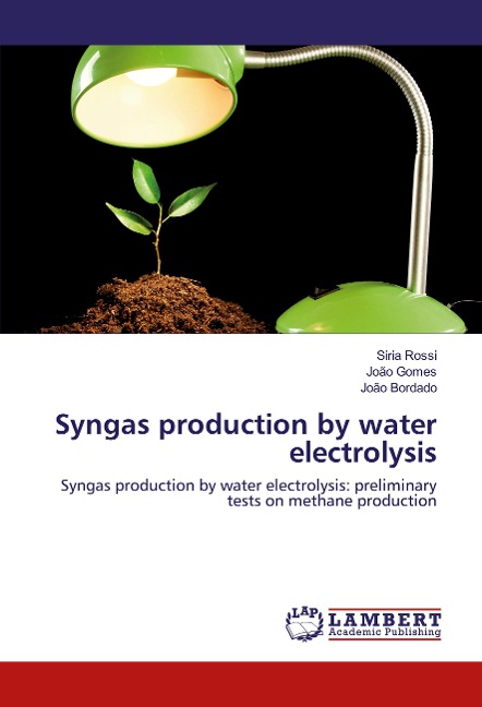 Syngas production by water electrolysis: Syngas production by water electrolysis: preliminary tests on methane production