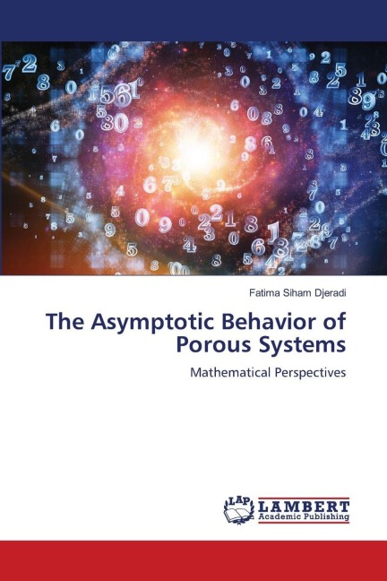 The Asymptotic Behavior of Porous Systems: Mathematical Perspectives