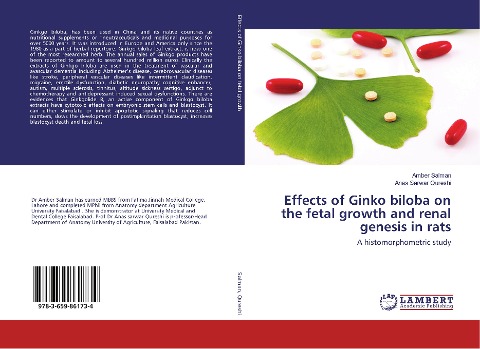 Effects of Ginko biloba on the fetal growth and renal genesis in rats: A histomorphometric study
