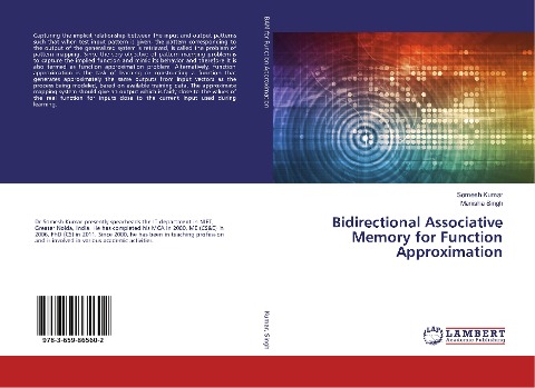 Bidirectional Associative Memory for Function Approximation