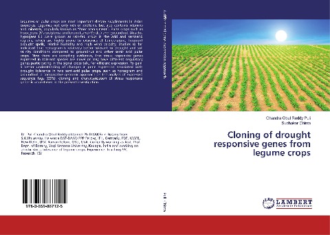 Cloning of drought responsive genes from legume crops