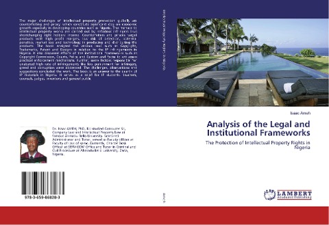 Analysis of the Legal and Institutional Frameworks: The Protection of Intellectual Property Rights in Nigeria
