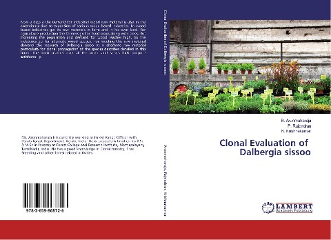 Clonal Evaluation of Dalbergia sissoo
