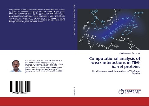 Computational analysis of weak interactions in TIM-barrel proteins: Non-Canonical weak interactions in TIM-Barrel Proteins