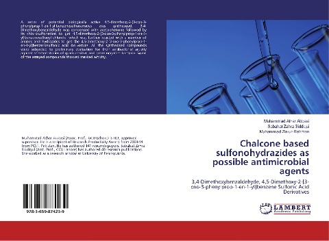 Chalcone based sulfonohydrazides as possible antimicrobial agents: 3,4-Dimethoxybenzaldehyde, 4,5-Dimethoxy-2-[3-oxo-3-phenylprop-1-en-1-yl]benzene Sulfonic Acid Derivatives