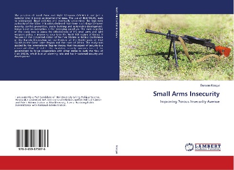 Small Arms Insecurity: Improving Porous Insecurity Avenue