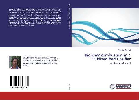Bio-char combustion in a Fluidized bed Gasifier: Mathematical model