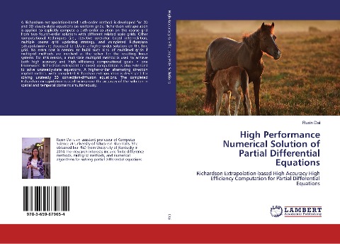 High Performance Numerical Solution of Partial Differential Equations: Richardson Extrapolation-based High Accuracy High Efficiency Computation for Partial Differential Equations