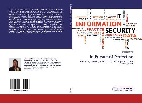 In Pursuit of Perfection: Balancing Usability and Security in Computer System Development