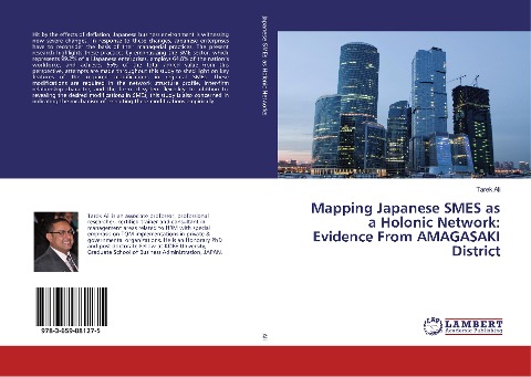 Mapping Japanese SMES as a Holonic Network: Evidence From AMAGASAKI District