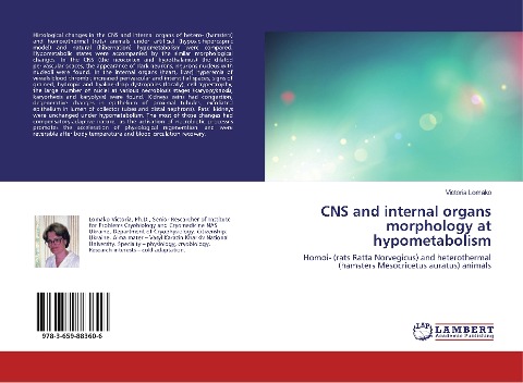 CNS and internal organs morphology at hypometabolism: Homoi- (rats Ratta Norvegicus) and heterothermal (hamsters Mesocricetus auratus) animals