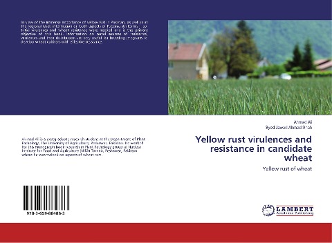 Yellow rust virulences and resistance in candidate wheat: Yellow rust of wheat