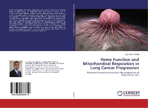 Heme Function and Mitochondrial Respiration in Lung Cancer Progression: Enhanced heme function fuels the progression of lung cancer cells