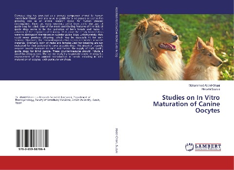Studies on In Vitro Maturation of Canine Oocytes