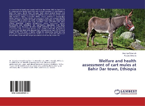 Welfare and health assessment of cart mules at Bahir Dar town, Ethiopia