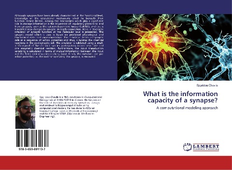 What is the information capacity of a synapse?: A computational modeling approach