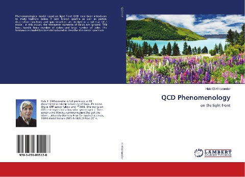 QCD Phenomenology: on the light front
