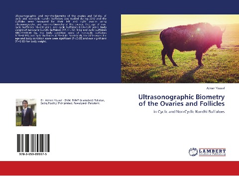 Ultrasonographic Biometry of the Ovaries and Follicles: in Cyclic and Non-Cyclic Kundhi Buffaloes
