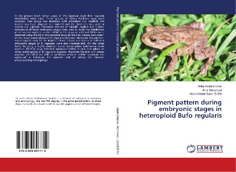 Pigment pattern during embryonic stages in heteroploid Bufo regularis