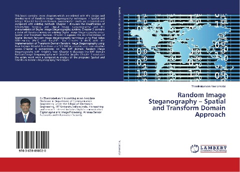 Random Image Steganography - Spatial and Transform Domain Approach