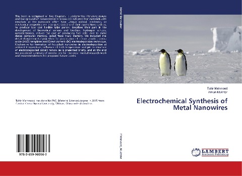 Electrochemical Synthesis of Metal Nanowires