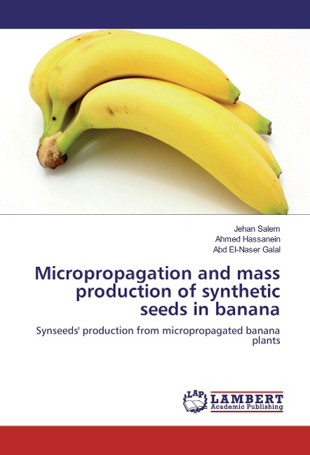 Micropropagation and mass production of synthetic seeds in banana: Synseeds production from micropropagated banana plants