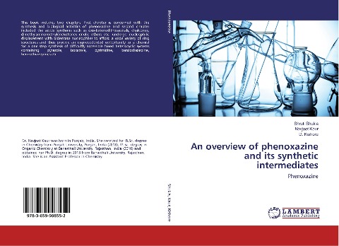 An overview of phenoxazine and its synthetic intermediates: Phenoxazine