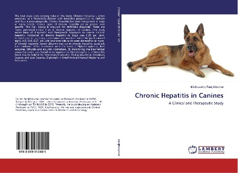 Chronic Hepatitis in Canines: A Clinical and Therapeutic Study