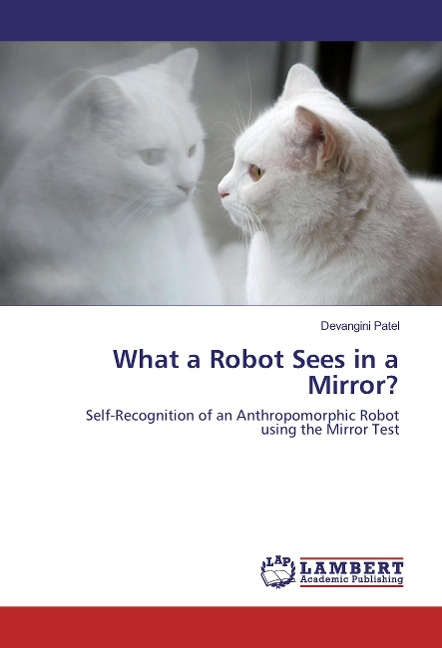 What a Robot Sees in a Mirror?: Self-Recognition of an Anthropomorphic Robot using the Mirror Test