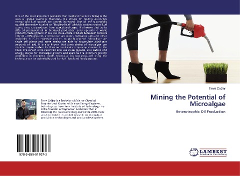 Mining the Potential of Microalgae: Heterotrophic Oil Production