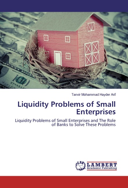 Liquidity Problems of Small Enterprises: Liquidity Problems of Small Enterprises and The Role of Banks to Solve These Problems