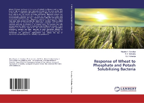 Response of Wheat to Phosphate and Potash Solubilizing Bacteria