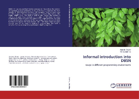 Informal introduction into DBSN: Usage in different programming environments