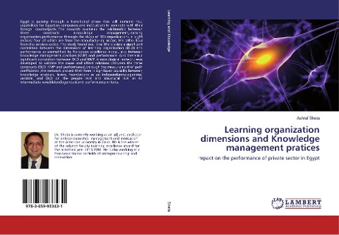 Learning organization dimensions and Knowledge management pratices: Impact on the performance of private sector in Egypt