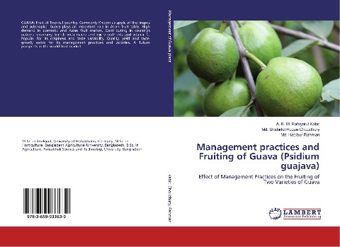 Management practices and Fruiting of Guava (Psidium guajava): Effect of Management Practices on the Fruiting of Two Varieties of Guava
